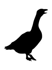 Goose silhouette