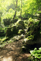 Obraz premium Summer mountain forest. Grotto of St. Simon the Canaanite. New Athos, Republic of Abkhazia.
