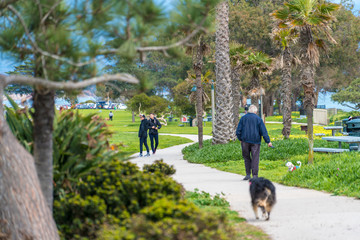 View of park over coastal California ocean, leisure time