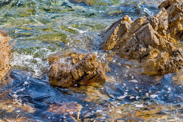 Coast of the Adriatic Sea