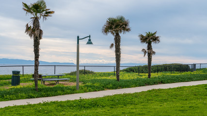 Relaxing view of park over California coast ocean, street lamp