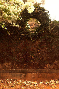 Old stone fence with a curly plants. Gokarna, Carnataka, India