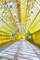 The Pushkinsky Pedestrian bridge in Moscow. Russia