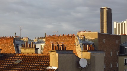 Toits de Paris, avec vue sur la tour Montparnasse (France)