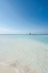 Fototapeta na wymiar Exotic beach of transparent waters in Punta Norte, Isla Mujeres