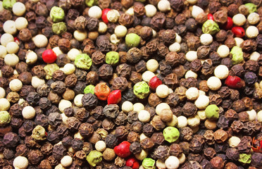 Сolored peppercorns. Mixed Dried Peppers. Spicy. Background