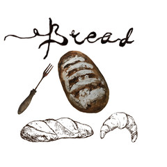 Bread, bakery product watercolor and pen sketch drawing with lettering. Fresh loaf of bread, baguette, croissant and sweet bun, pretzel. Natural organic bread, bakery shop design