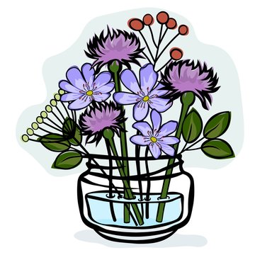 noble hepatica and stokesia in a glass jar. Vector icon on white background.