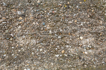 Rough Concrete Wall Texture