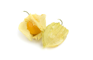 Physalis isolated on a white background. cape gooseberry.