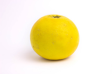 white grapefruit isolated on a white background.