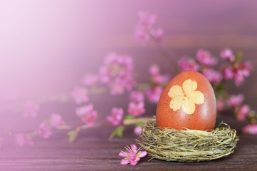 Easter card with Easter egg in the nest and spring flowers. Easter egg dyed with onion skins