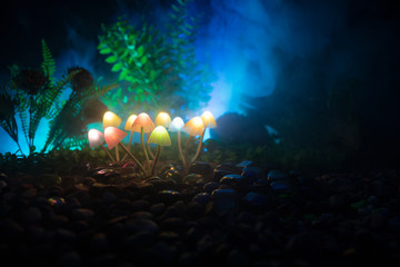 Fantasy glowing mushrooms in mystery dark forest close-up. Beautiful macro shot of magic mushroom or souls lost in avatar forest. Fairy lights on background with fog.