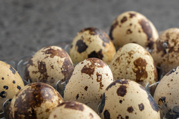 Quail eggs in plastic box, Quail eggs background