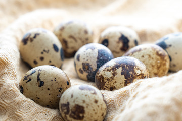 Fototapeta premium Small quail eggs on the cloth, product