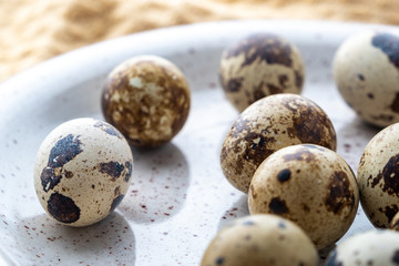 Obraz premium Quail Eggs on the gray plate, eco product