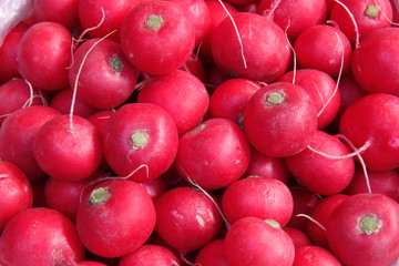  red radish on the market