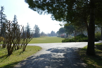 panorama of grassy lawn in Sigurtà garden park in the village of Valeggio on Mincio river