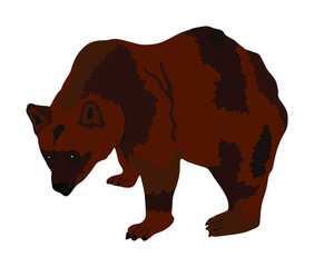 Bear vector illustration isolated on white background. Grizzly symbol. Big animal, nature wildlife concept.