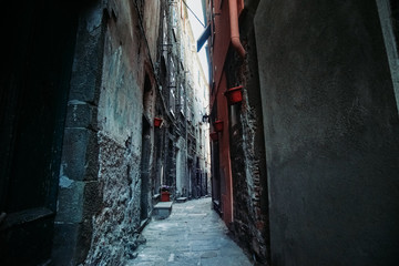 Narrow Alleyway in Corniglia Italy
