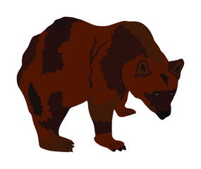 Bear vector illustration isolated on white background. Grizzly symbol. Big animal, nature wildlife concept.