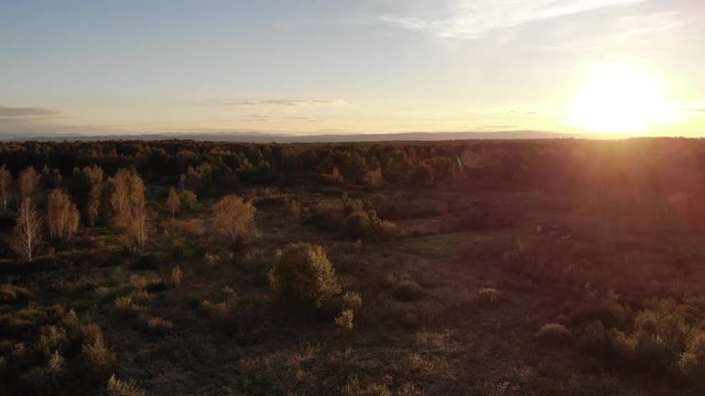 Aerial view of autumn meadow, sunset and natural lens flare effect