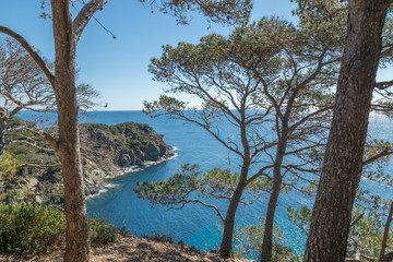 paysage de l'&icirc;le de Porquerolles