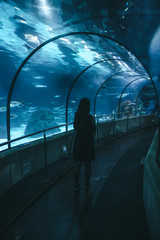 Girl observes the fishes that swim in the aquarium tunnel