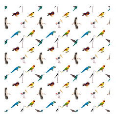 seamless pattern with various kinds of birds on white background
