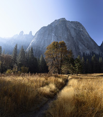 Morning sun illuminates colorful autumn foliage in Yosemite Valley, Yosemite National Park