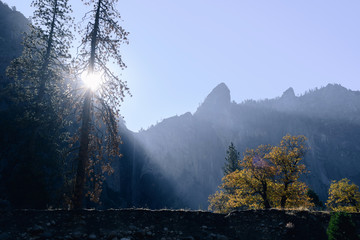 Autumn colors and landscape along the Merced River in early morning light in Yosemite National Park