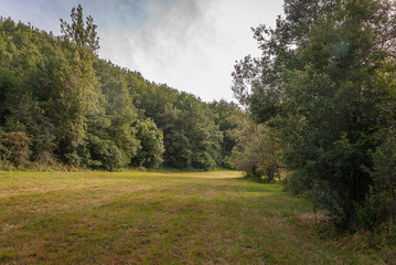 Spain. Landscape of the Palencia mountain. Palencia