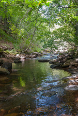 Obraz premium Spain. River and forest of Palencia mountain. Palencia