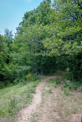 Spain.  Footpath of the mountain of Palencia. Palencia