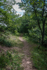 Spain.  Footpath of the mountain of Palencia. Palencia