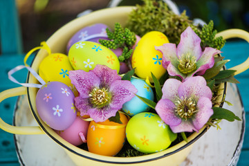 Obraz na płótnie Canvas Colorful easter eggs with helleborus blossoms in a bowl