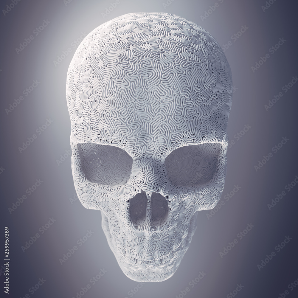 Aufkleber Computer generated abstract white plastic wire skull surrounded by light mist. Geometric modern pattern. 3d rendering