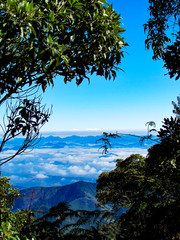 Clouds covering brazilian mountains, a beautiful horizon in between the trees