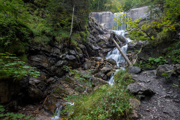 waterfall in forest