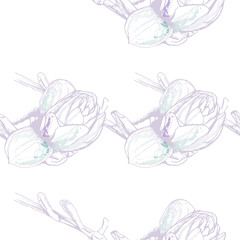 Flower Pastel.White Romantic Seamless Pattern.