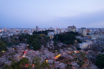 宇都宮市　宇都宮タワーから見た八幡山公園と街並み