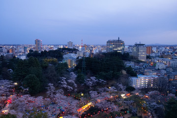 宇都宮市　宇都宮タワーから見た八幡山公園と街並み