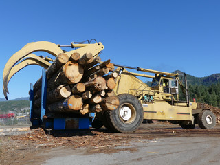 Forest machinery truck  logging timber wood blue sky copy space 