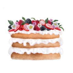 Hand drawn Homemade layered cake with fresh strawberries, raspberries, blackberries and mint for dessert - healthy organic dessert. Midsummer cake with vanilla cream. On white background isolated 