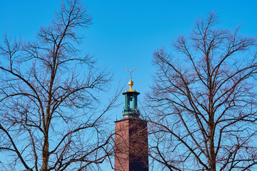 The tower of the city hall of Stockholm against a blue sky, between and behind branches. 