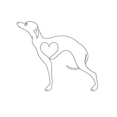 Italian Greyhound icon. Dog breed Italian Greyhound drawn as a single line. Dog tattoo.