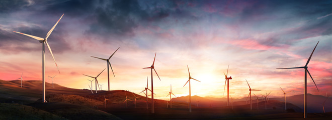 Fototapeta Wind Turbines In Rural Landscape At Sunset obraz