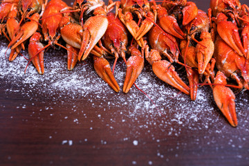 Crayfish with salt on a wooden texture