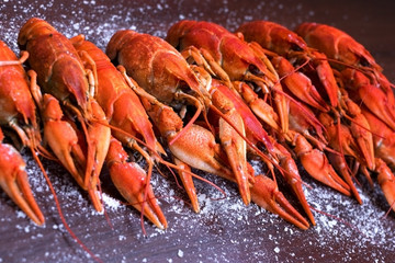 Boiled cooked crayfish crawfish ready to eat on black background.