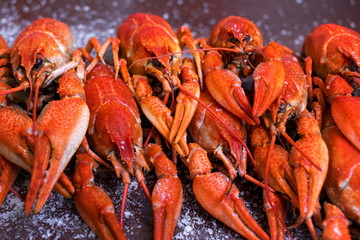 boiled crayfish, salted fish, smoked fish, chips, peanuts, snacks on white plates on a wooden table